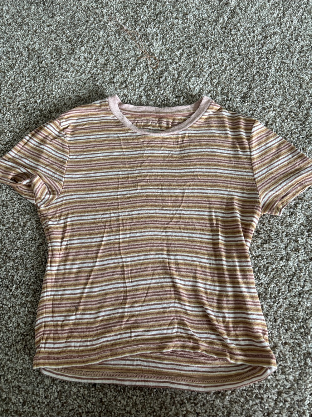 American Eagle Outfitters Pink, Tan & White Striped Crop Top